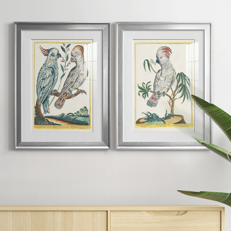 «Pastel Birds I», reproduction encadrée de qualité supérieure - prête à être accrochée, Cadre argenté