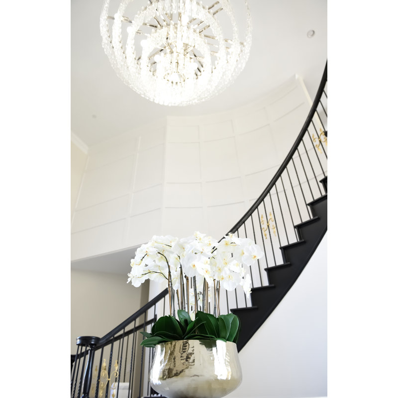 Roberi bowl with multiple stems of white Phalaenopsis orchids, White, 38" H x 22" W x 22" D