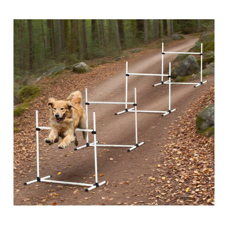 Ensemble de saut à agilité pour chien 4 pièces en PVC, blanc