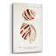 Art mural en verre acrylique 24 po x 36 po «Sienna Shell Collector 4» par Annie Warren-813148766
