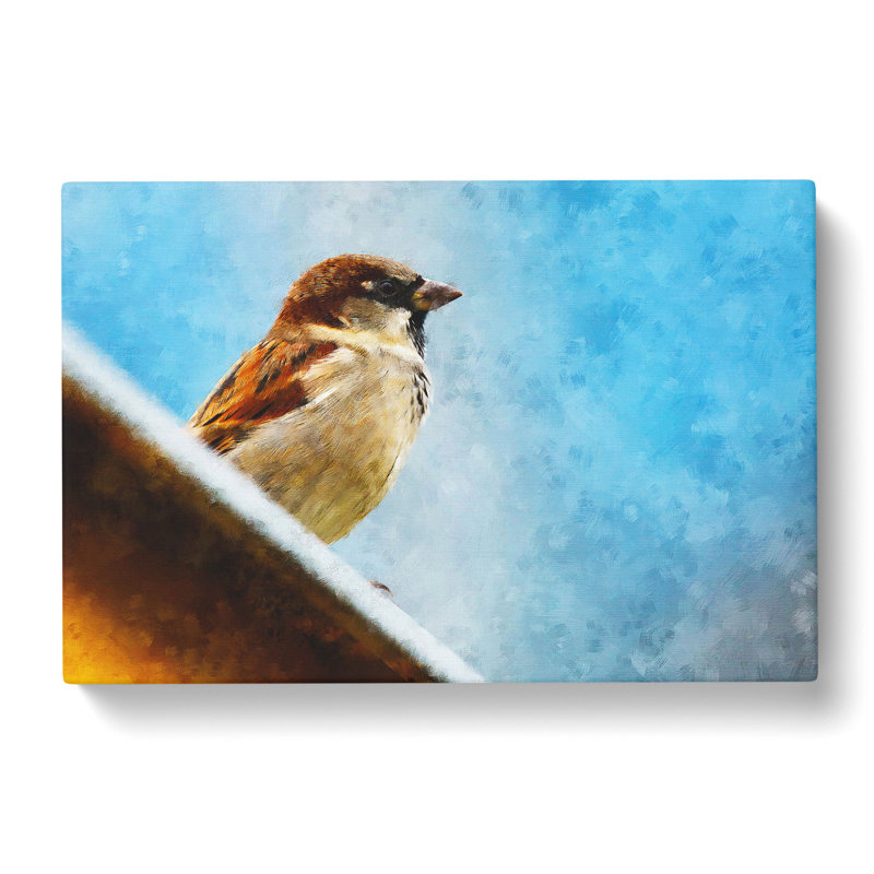 Sparrow Bird Vol.2 - Wrapped Canvas, 50cm H x 76cm W x 3cm D