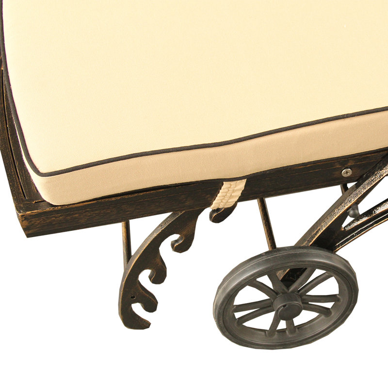 Cashin Outdoor Chaise Lounge
