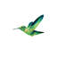 Radioactive Hummingbird II Painting by Elena Carlie-26931448-26931447