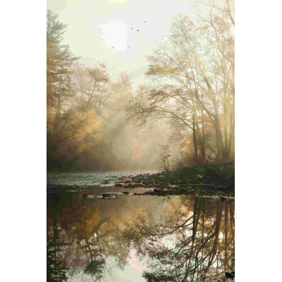 Réflexions dorées 2884572