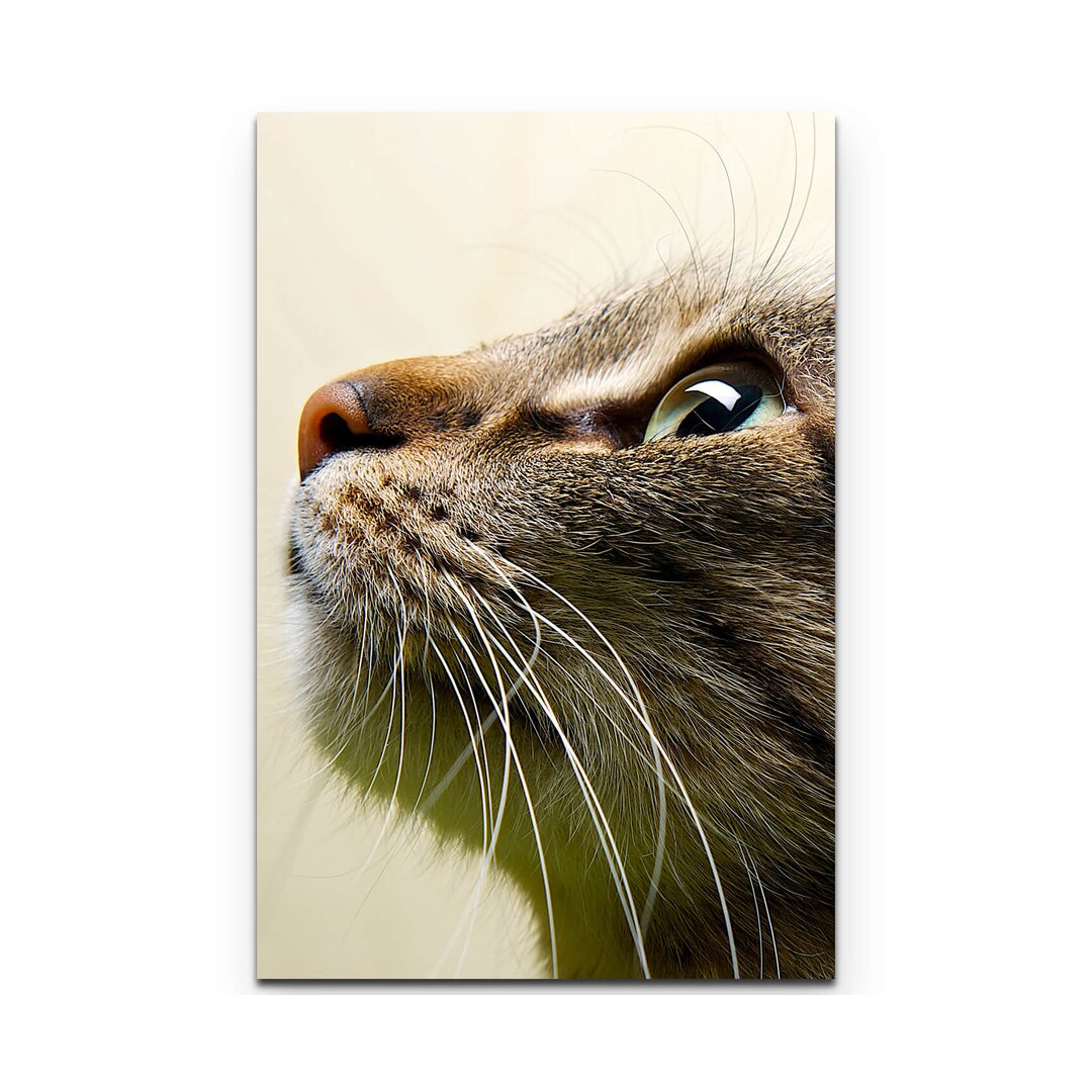 Leinwandbild Portrait einer Hauskatze – Seitenansicht