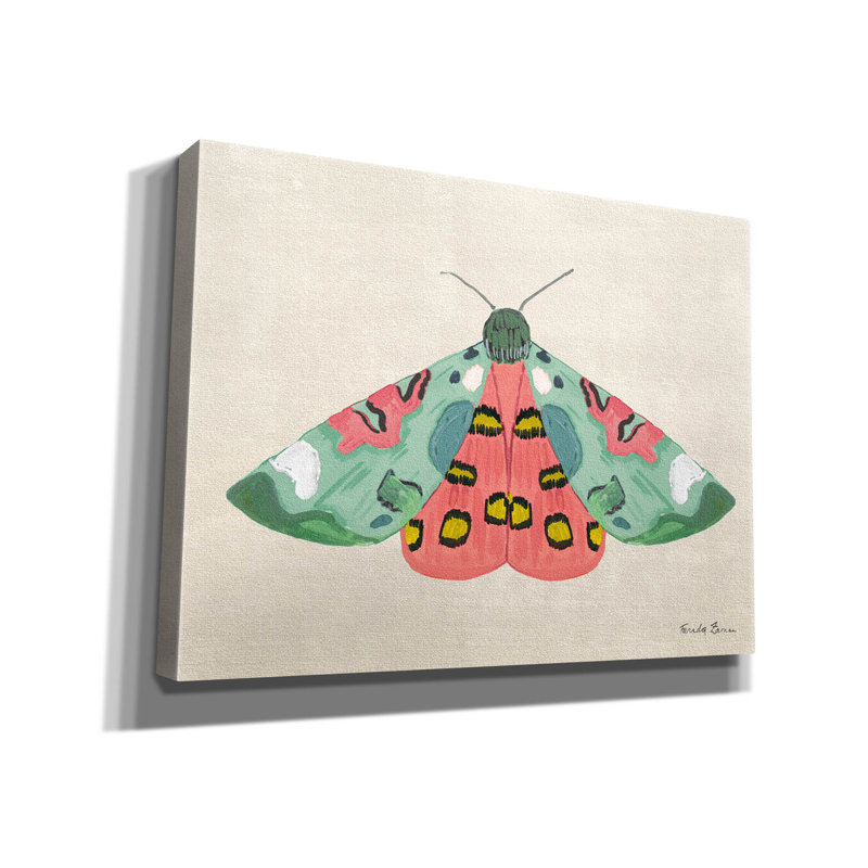 Toile épique Graffiti «Textured Moth 2 Bright» par Farida Zaman, 16 po x 12 po, H 12 po x l 16 po