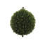 36" Double Boxwood Topiary in Pot