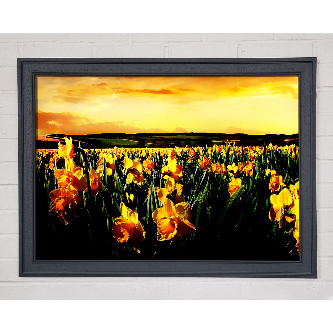 Field of Golden Daffodils - Einzelner Bilderrahmen Kunstdrucke