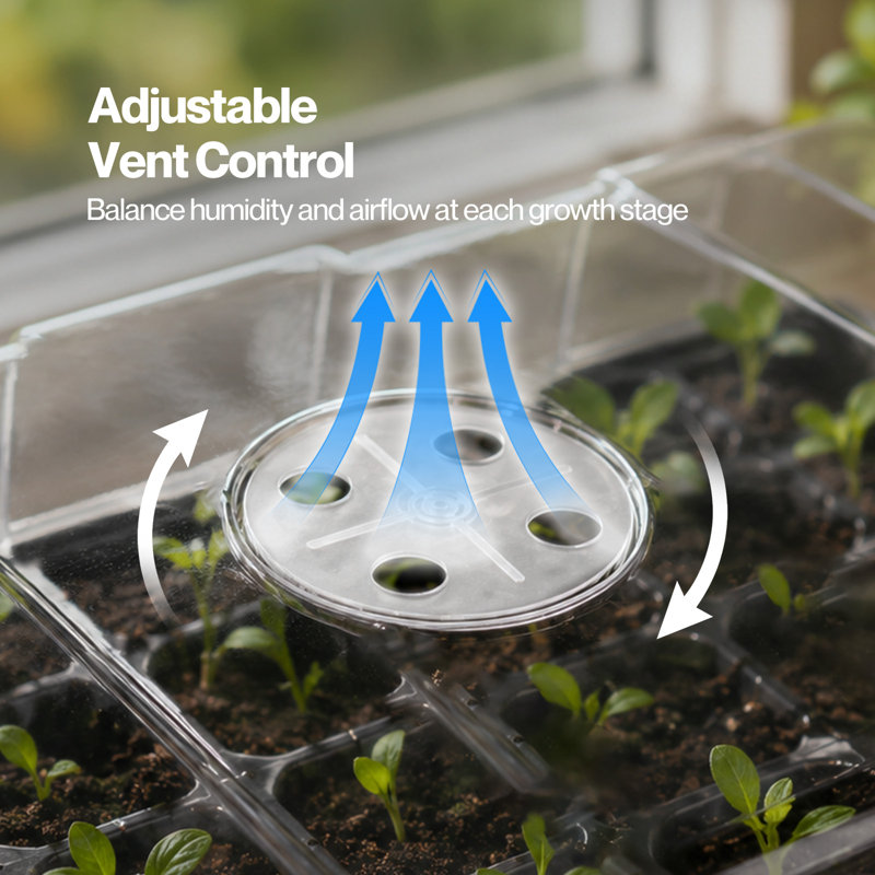 TOQUE Seed Trays 5Pc Clear View With Lids 40 Cell Propagators For Plants Green, 6cm H x 39cm W x 23cm D, Black
