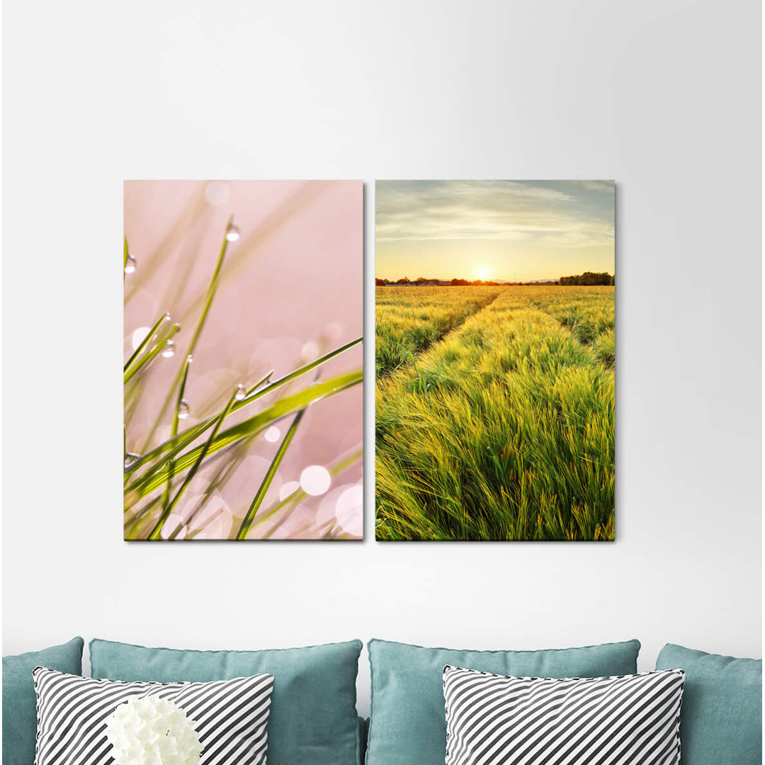 2-tlg. Leinwandbilder-Set - Fotografie „Grass Blades of Grass Morning Dew Wheat Field Summer Horizon”