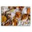 «Autumn 21» par Gordon Semmens, art mural en verre acrylique-1898690929