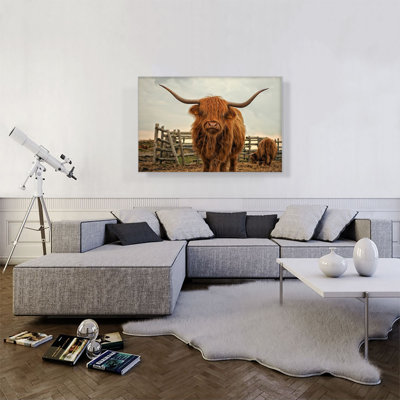 " Highland Cow Cattle Stable "