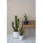 Minimalist Pots Handmade Fiberstone Planter