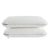 Sealy Dreamlife Memory Foam Medium Pillow, Standard - Dual Pack