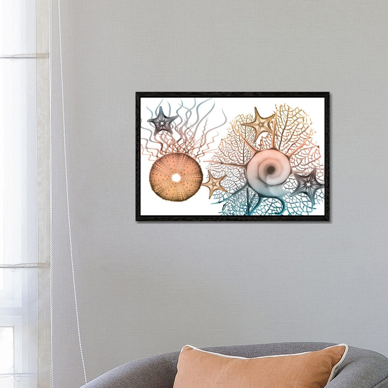 Sea Collective I by Albert Koetsier - Print on Canvas, 45.72cm H x 66.04cm W x 3.81cm D, Black Framed