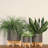5" Planter W/ Wood Stand, Matte Gray-1307657786
