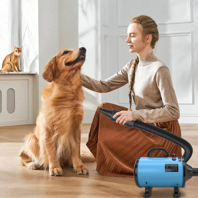 Pet Hair Dryer Blower, 2000W Adjustable Speed Pet Grooming Dryer with Heating Function, 4 Nozzles & Flexible Hose, Low Noise Dog Cat Hair Dryer for Home Pet Grooming, EU Plug