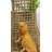 Reptology Extra Large Lizard Lounger