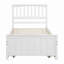 Lit plateforme avec lit gigogne-313041451