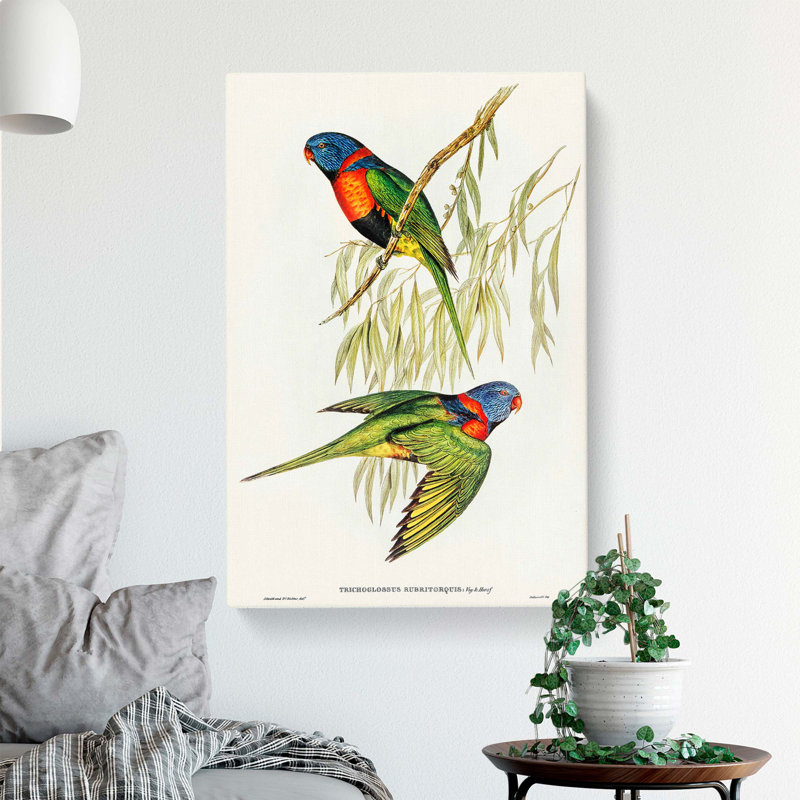 Lorikeets by Elizabeth Gould - Wrapped Canvas, 76cm H x 50cm W x 3cm D