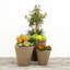 Pot à fleurs intérieur / extérieur auto-arrosant-17049374-119117373