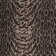 Prive Fabric