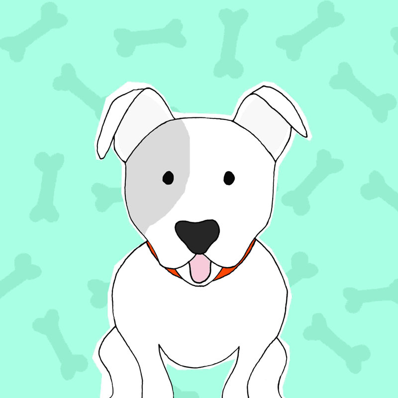 Chiot Jack, H 12 po x l 12 po
