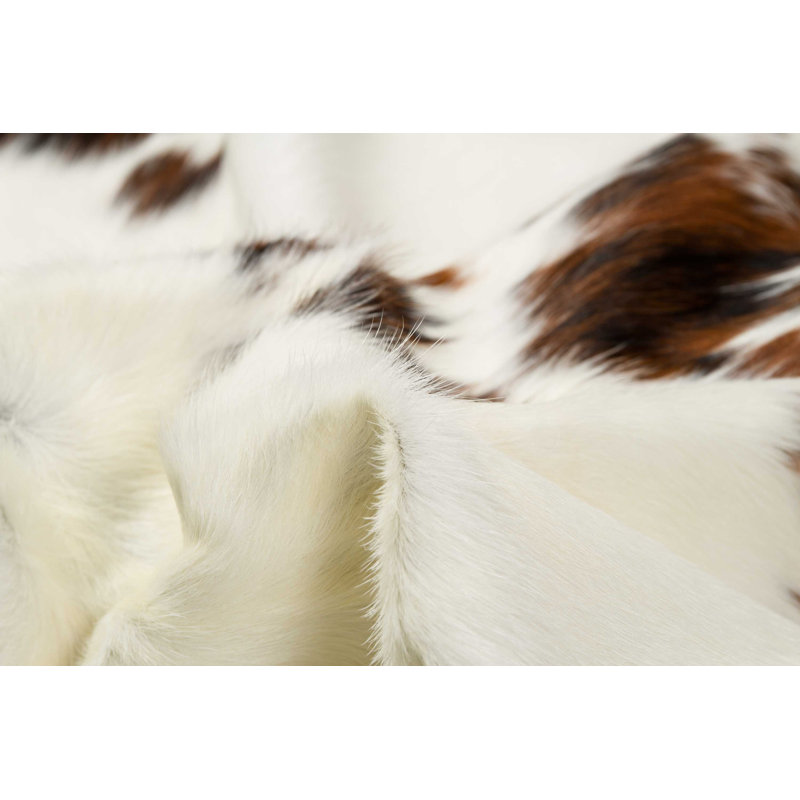 Charline Cowhide Animal Print Indoor Rug, Novelty 5' x 7'