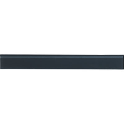 Charm School 2'' W x 16'' L Glass Subway Singular Tile