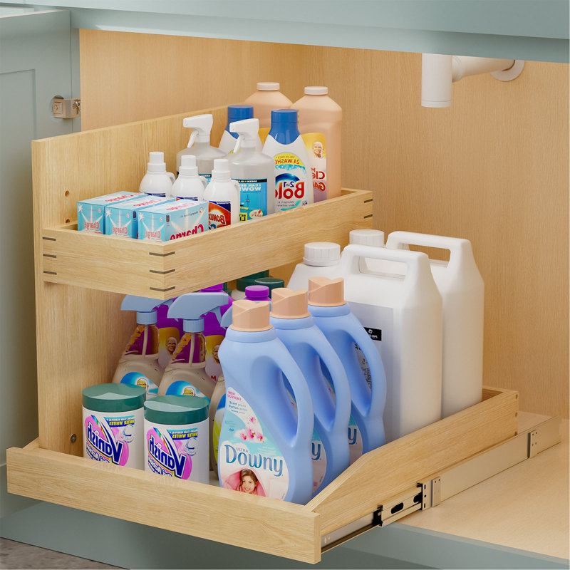 Organisateur sous évier et rangement l 22 ½ po x P 21 po, organisateur d'armoire coulissant à 2 niveaux avec fermeture en douceur, organisateur d'armoire coulissant réglable avec support en U pour la cuisine de la salle de bain (à gauche)