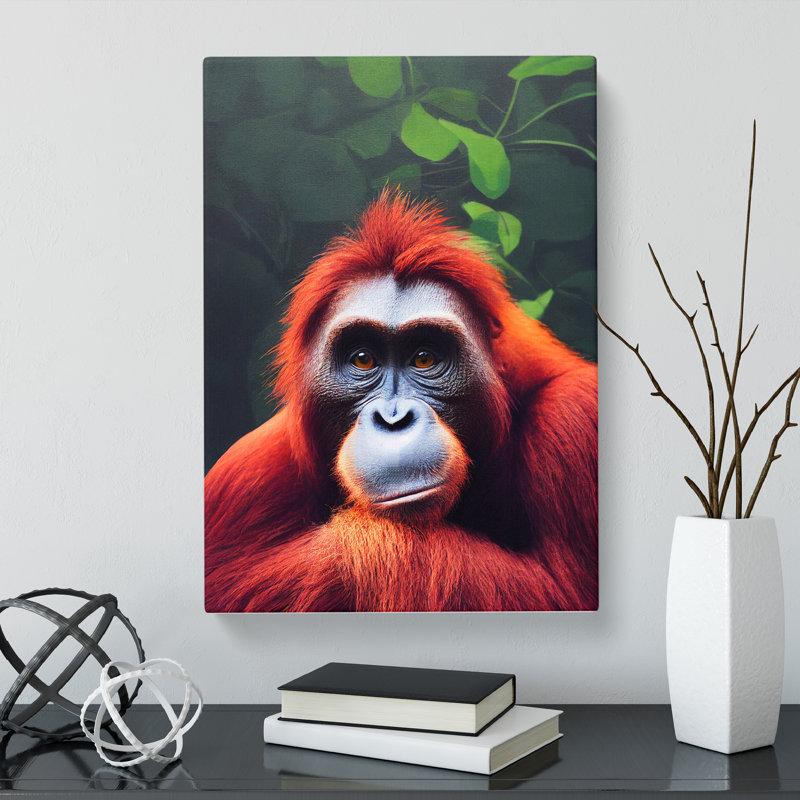 Orangutan Stare - Wrapped Canvas, 60cm H x 40cm W x 3cm D