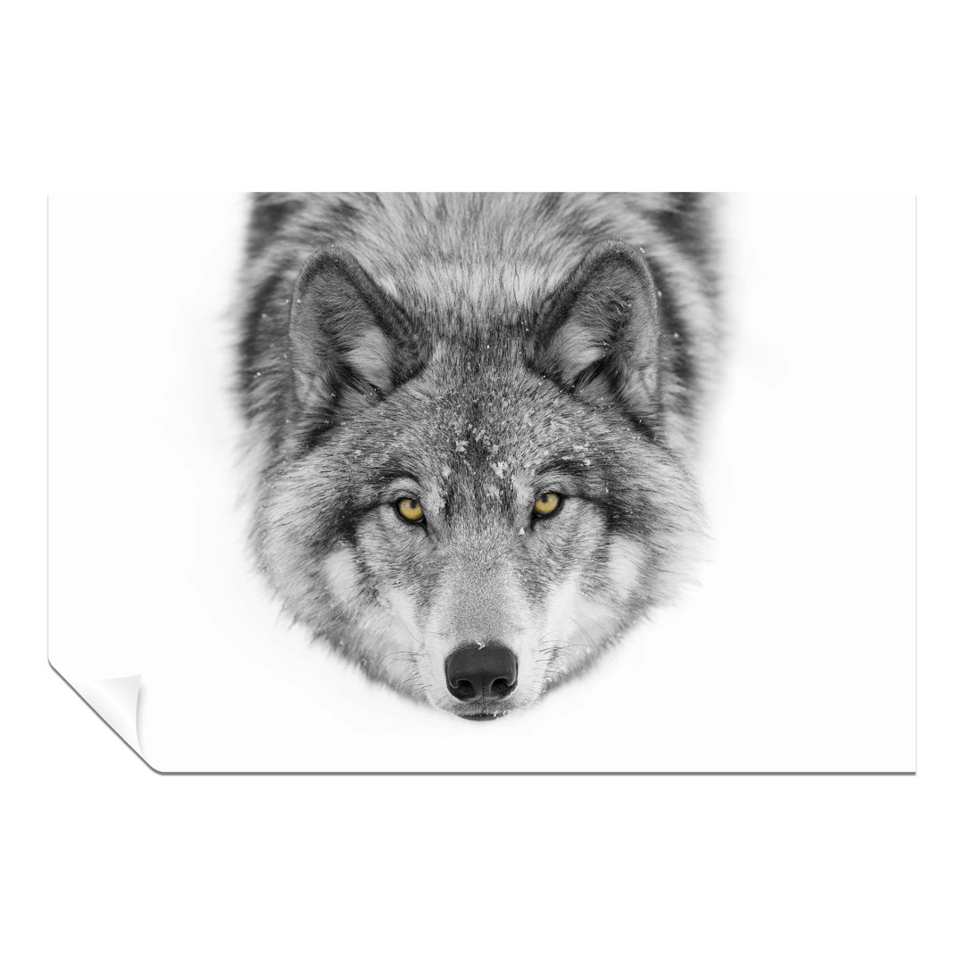 Panther Print Fine Art Prints Grey Wolf Yellow Eyes Artistic Unframed Poster, Pictures For Home Walls, Bedroom, Living Room & Bathroom Decor