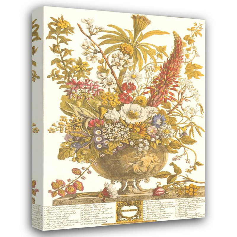 Douze mois de fleurs, 1730 / décembre, H 24 po x l 17 po