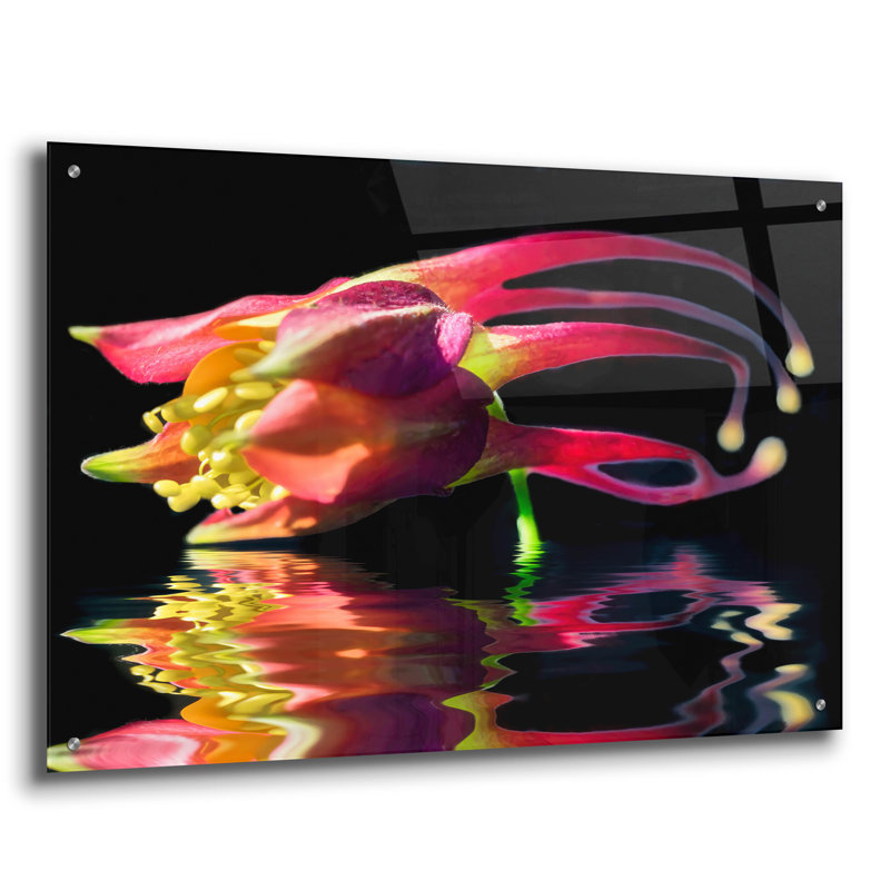 «Columbine Reflection» par Pamela Plummer, H 24 po x l 36 po x P 0,2 po