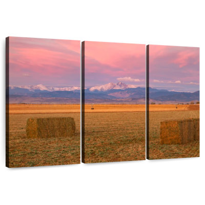 Alvord Longs Peak Harvest