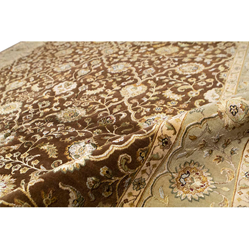 Chantel Oriental Area Rug in Brown/Green