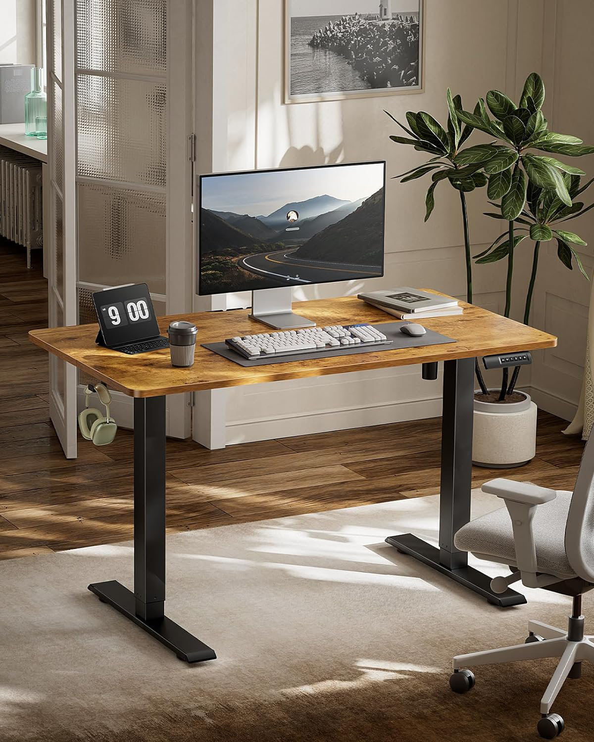 Inbox Zero Electric Adjustable Height Standing Desk With Memory Presets ...