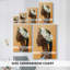 Modern Laurel II - Gallery Cavas enveloppé-108824604