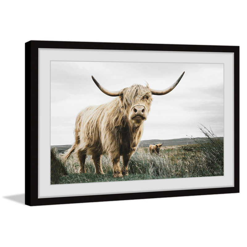 Roaming Cattle - Print, 61cm H x 61cm W x 3.81cm D, Black Framed Paper