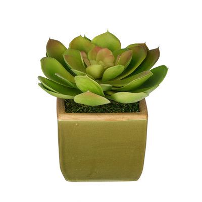 8'' Faux Succulent Plant in Ceramic Vase