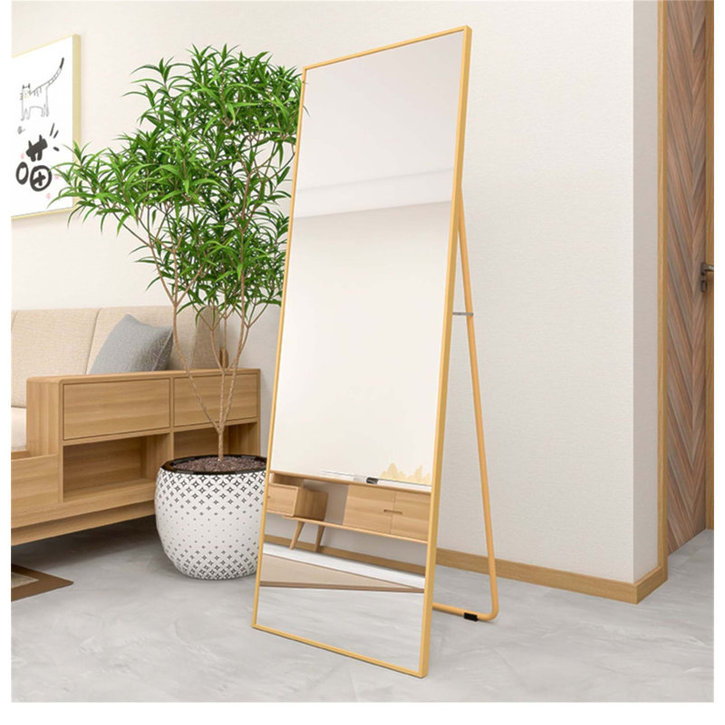 Miroir pleine longueur mural en alliage, élégant et durable, parfait pour la décoration moderne et peu encombrante.