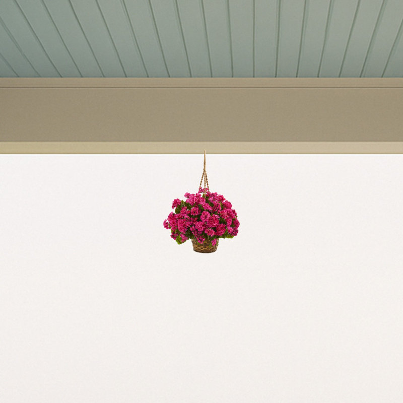 Geranium panier suspendu résistant aux rayons UV