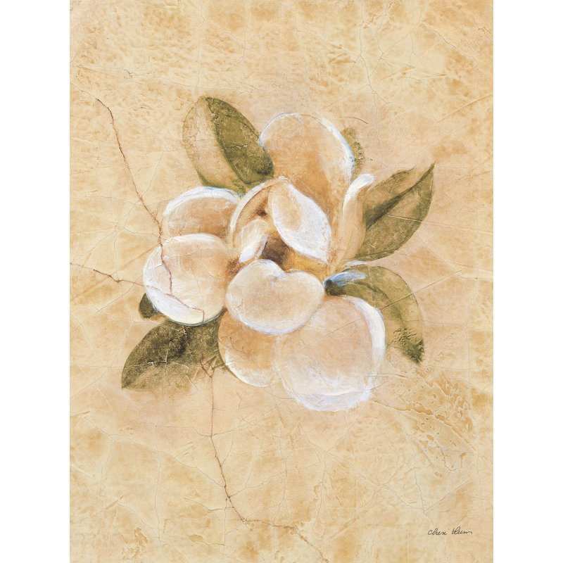 Magnolia sur toile de lin craquelée - impression, Non, H 40 po x l 30 po, Imprimé à cadre doré