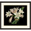 Antique Orchid On Black III Painting