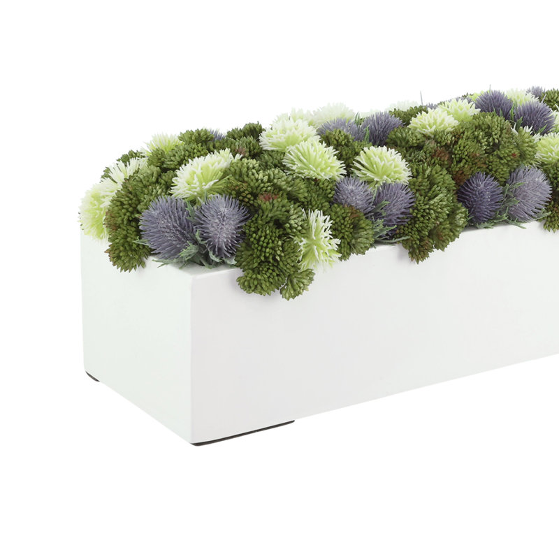 Sedum and Thistle Arranged in Rectangular Planter