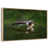 Floating Frame Natural Wood