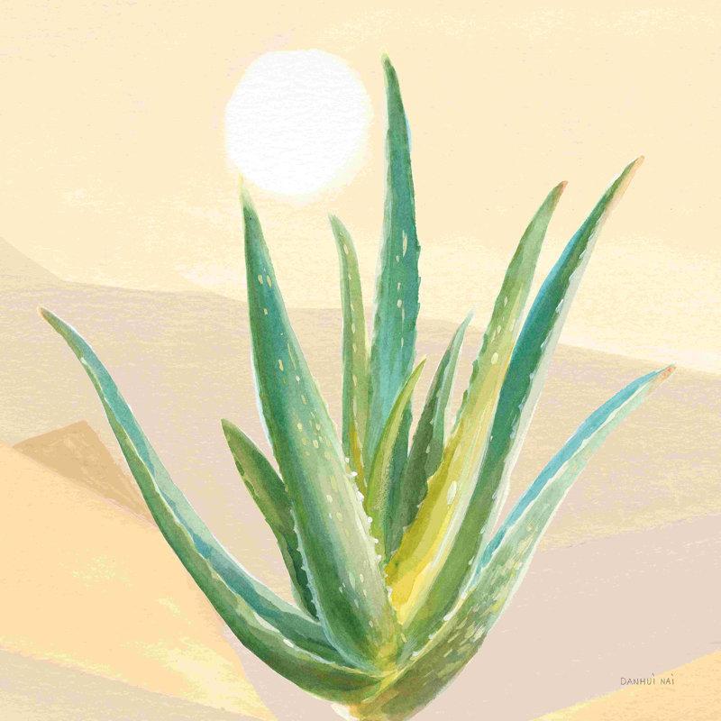 Desert Greenhouse V - imprimé, H 20 po x l 20 po, Oui, Papier avec cadre simple argenté