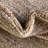 Desdemona Striped Indoor Rug-71187216