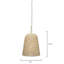 Luminaire suspendu en dôme Pacifica