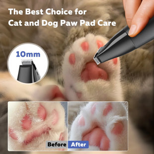 Ensemble de tondeuse pour toilettage 4-en-1 avec plusieurs têtes de pales, taille-bord rechargeable à faible bruit pour les chiens et les chats avec pales 32 mm / 20 mm / 10 mm et meuleuse à clous